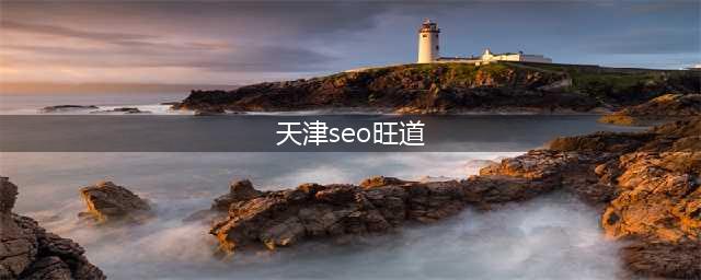 旺道SEO优化技巧：提升网站排名最全攻略(天津seo旺道)