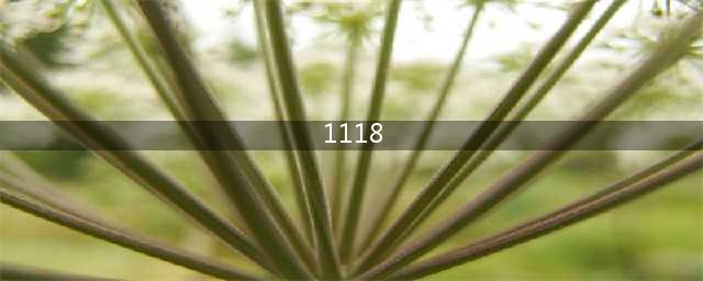 1118神秘数字成网络热词(1118)