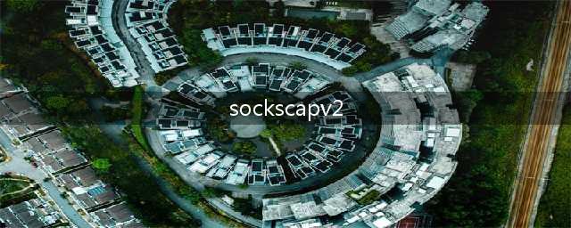 为何SocksCapV2无法启动IE(sockscapv2)