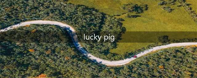 luckypig520mao是什么意思(lucky pig)