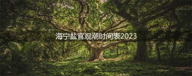海宁盐官观潮时间表2023(海宁盐官观潮时间表2022)