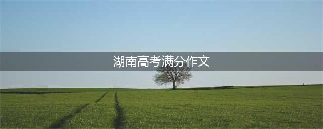 2016湖南高考满分作文精选