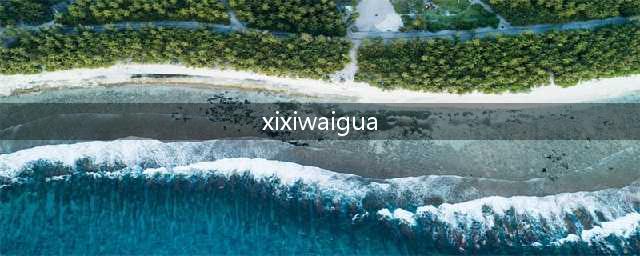 西西外挂：提供最新的游戏修改工具(xixiwaigua)