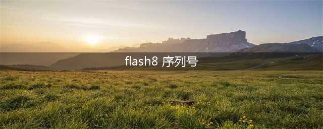 flash8的序列号是多少(flash8 序列号)