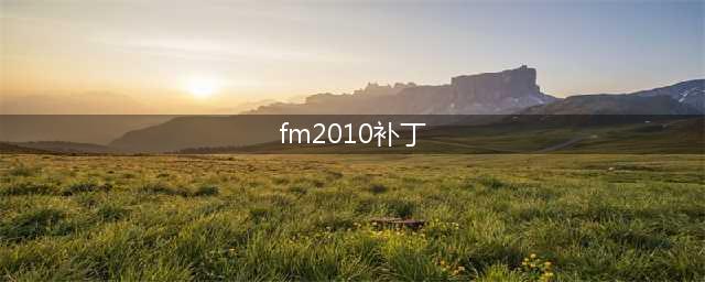FM2010 1030的免CD补丁(fm2010补丁)
