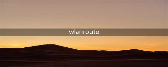 用wlanroute时设置电脑共享时候出现这个(wlanroute)