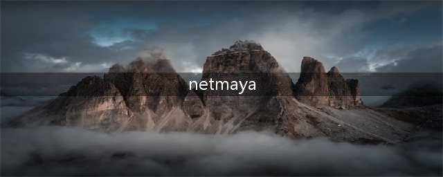 maya三维软件(netmaya)