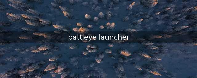 绝地求生大逃杀玩家须知！如何解决battleye launcher错误？（针对绝地求生大逃杀玩家，快速排除battleye launcher错误的方法！）