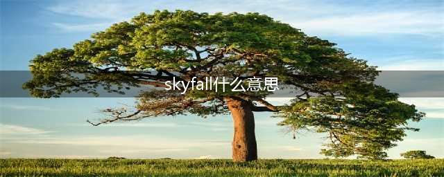 SKYFALL是什么意思(skyfall什么意思)