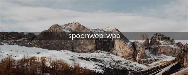 关于spoonwep(spoonwep-wpa)