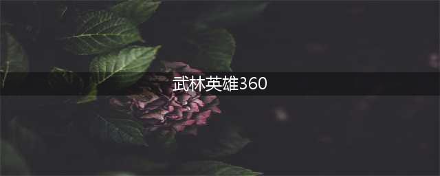 360武林英雄升级攻略 - 快速升级360武林英雄技巧(武林英雄360)