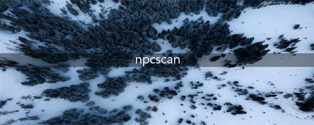 魔兽世界NPC扫描：追踪宝藏怪物(npcscan)