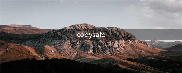 dry和safe是什么意思(codysafe)