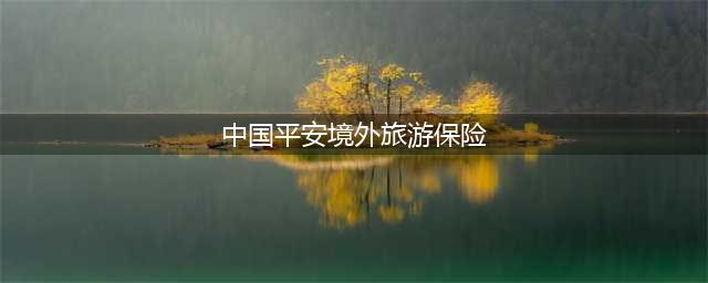 中国平安境外旅游保险（保障您的海外旅行安全）