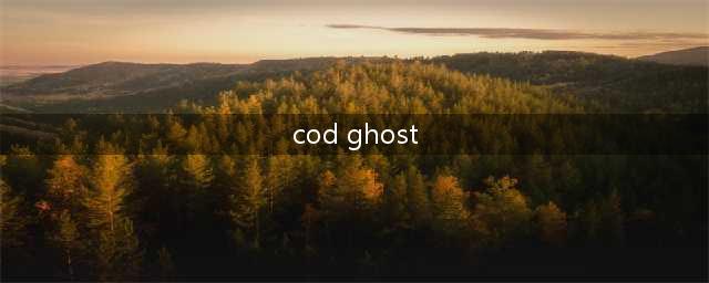 CODM攻略(cod ghost 攻略)