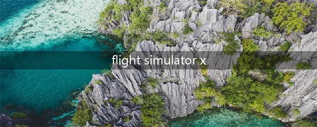 《Flight SimulatorX》游戏攻略大全(flight simulator x)