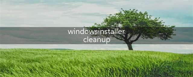 windows install clean up怎么使用(windowsinstallercleanup)
