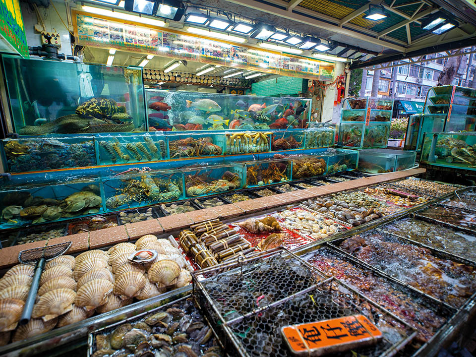 香港饮食文化（介绍香港美食的历史和特色）