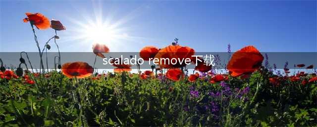 IPHONE能不能下载Scalado remove 在APP STORE里面有木有(scalado remove下载)