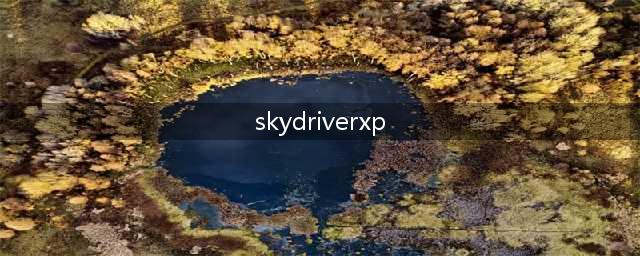 无限网卡驱动(skydriverxp)