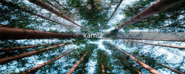 Kami2游戏第6关解法详解(kami2)
