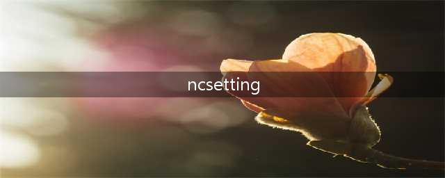 什么是NC联机(ncsetting)