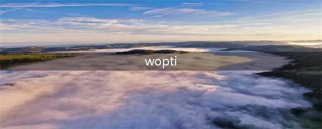优化大师建立的wopti文件夹可以删除吗(wopti)