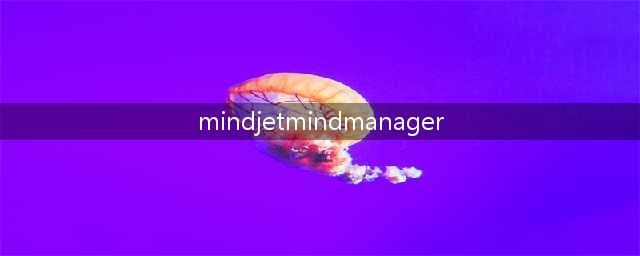 mindjet mindmanager 是什么意思(mindjetmindmanager)