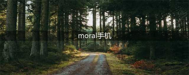MORAL是智能机吗(moral手机)